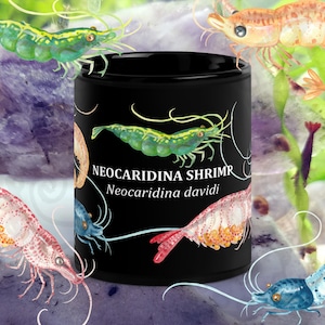 Puede incluir: Taza de cerámica negra con ilustraciones coloridas de camarones Neocaridina en varios colores, incluyendo verde, azul y rojo. La taza tiene el texto "Neocaridina Shrimr" y "Neocaridina davidi" impreso.