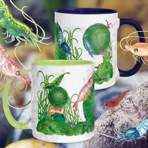 Puede incluir: Dos tazas de cerámica blanca con ilustraciones coloridas de camarones. Una taza tiene un asa y borde azul marino, la otra tiene un asa y borde verde claro. Las tazas presentan varios diseños de camarones en tonos verdes, rojos y azules.