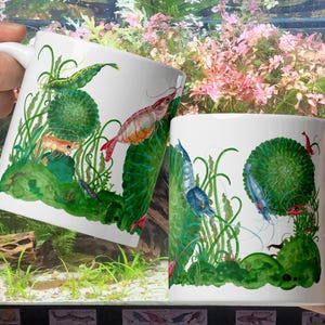 Bunte Neocaridina Cherry Garnelen, die auf Marimo weiden lassen, auf einer weißen Tasse
