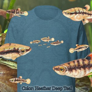 May include: Heather deep teal t-shirt featuring a watercolor illustration of several fish. The fish are in shades of brown, tan, and black, with detailed patterns. The shirt's color is displayed at the bottom of the image.