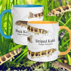 May include: Two white ceramic mugs with fish illustrations. One mug has a blue handle and interior, the other has an orange handle and interior. The mugs feature the text "Black Ku" and "Striped Kuhli" with scientific names.