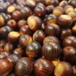 50 Acorns for Decor or Crafting