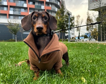 Pull teckel avec fermeture éclair - Polaire Marron