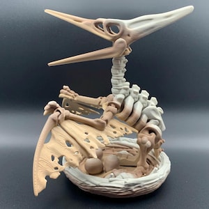 3D Printed Articulated Flexi Pteranodon Skeleton Flying Dinosaur Fidget Toy Movable Prehistoric Figure Gift for Dino Lovers & Collectors