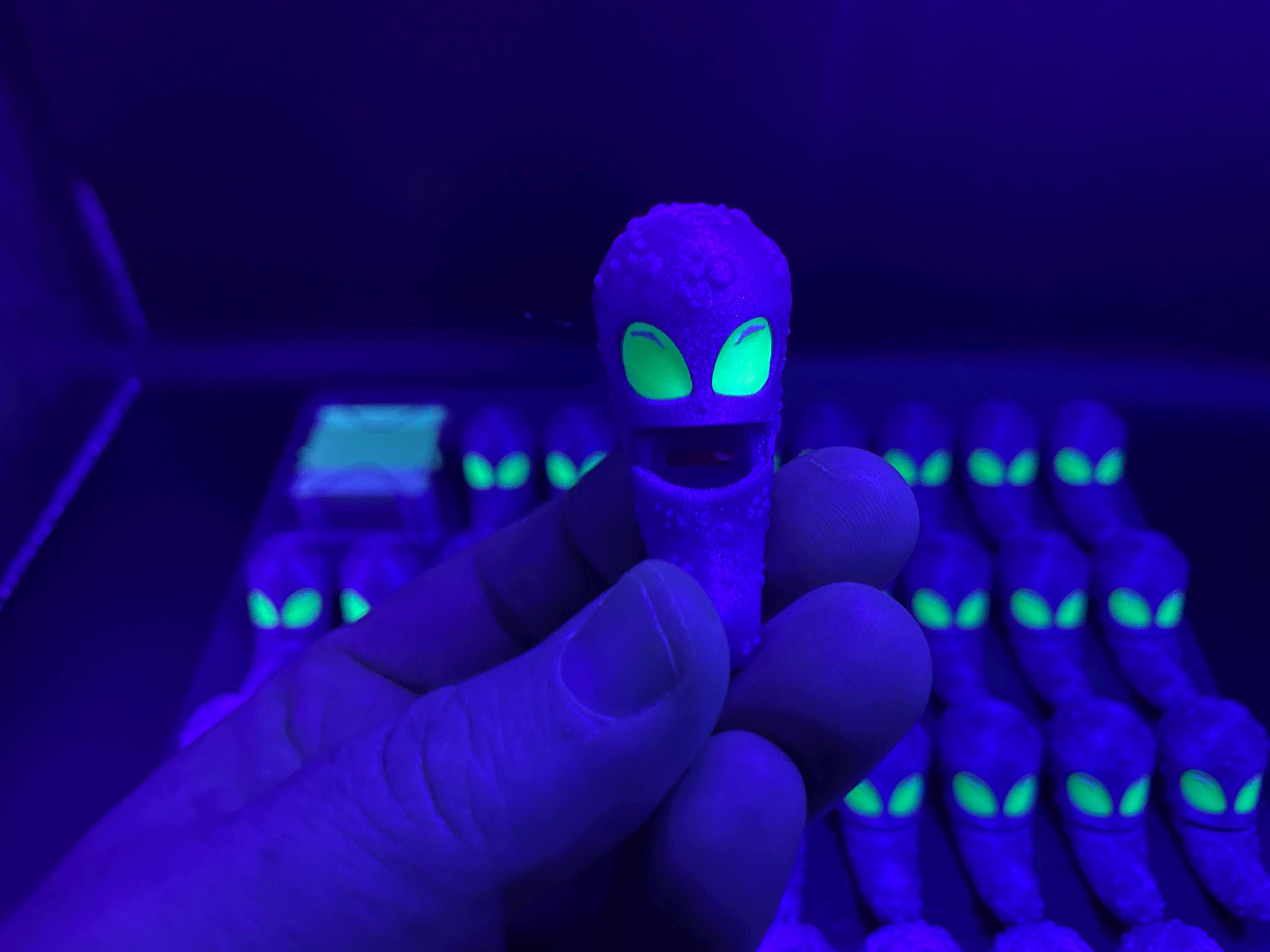 Alien Pickle Keychain, Glow in the Dark, Funny Gag Gift, Fidget Toy - Etsy
