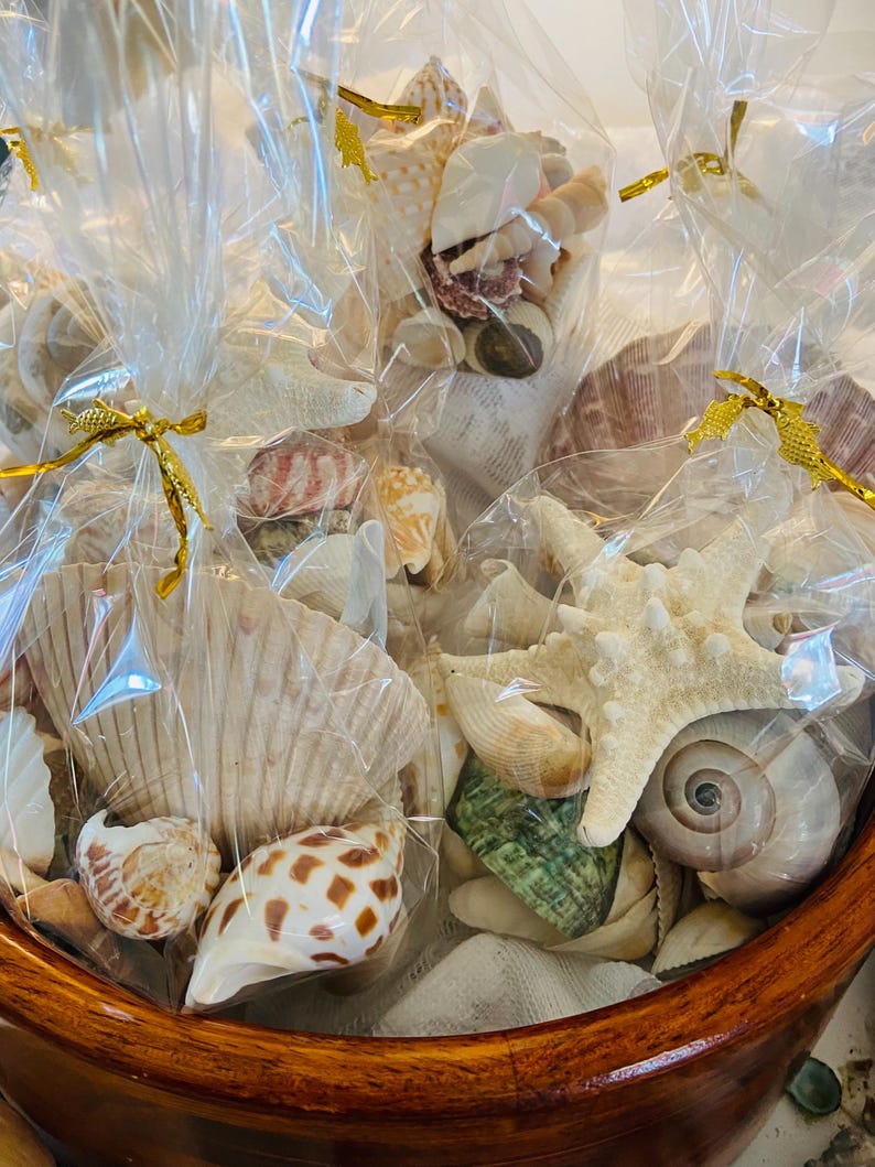 Mystery One Half Pound Mixed Seashell Bundle Bags- Beach Decor, Hand ...