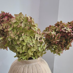 May include: A bouquet of dried hydrangea flowers with muted green and dusty pink petals arranged in a textured, off-white ceramic vase. The flower heads are dense and multi-layered, displaying a natural, faded color palette throughout the stems.