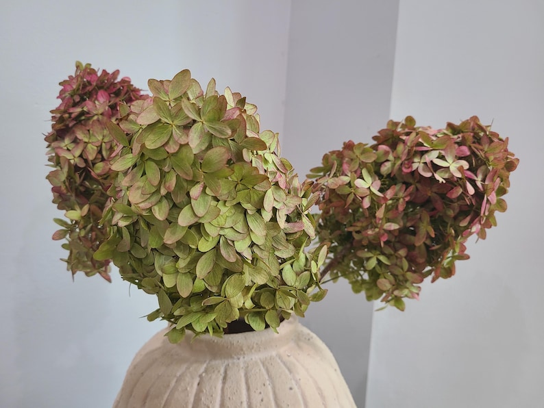 May include: A bouquet of dried hydrangea flowers with muted green and dusty pink petals arranged in a textured, off-white ceramic vase. The flower heads are dense and multi-layered, displaying a natural, faded color palette throughout the stems.