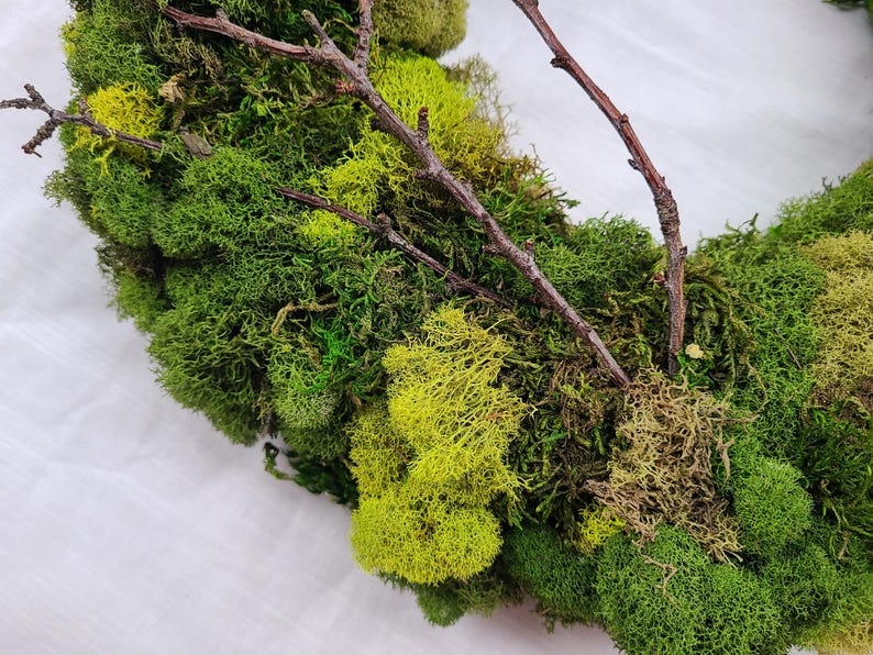 May include: A green and yellow moss wreath with brown twigs woven throughout.