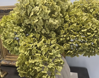 preserved Annabelle hydrangea bouquet, natural dried florals, green everlasting flower, 16-19 inch stems,  Home Decor bouquet gifts.