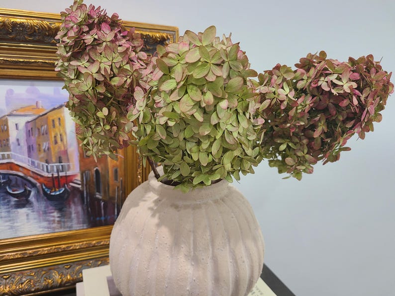 May include: A round, white, ribbed ceramic vase holds three large, dried hydrangea stems. The flowers display a mix of muted green and dusty pink tones. The vase has a textured, matte finish and a wide, rounded body with a narrow opening at the top.