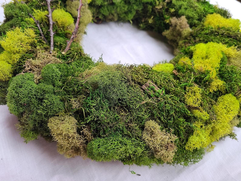 May include: A green and yellow moss wreath with a natural twig design. The wreath is made of preserved moss and is perfect for adding a touch of nature to your home decor.