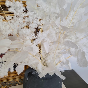 preserved Bleached eucalyptus and Ming Asparagus Fern stems vase filler white foliage naturel preserved arrangement wedding decor stems