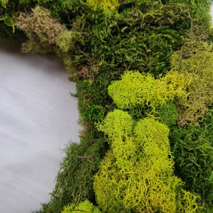 May include: A close-up of a green and yellow moss wreath. The moss is arranged in a circular shape and has a natural, rustic look.