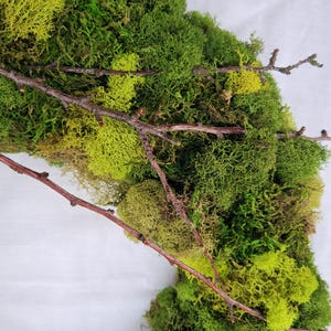May include: A green moss wreath with brown twigs woven throughout. The wreath is made of preserved moss and is perfect for adding a touch of nature to your home decor.