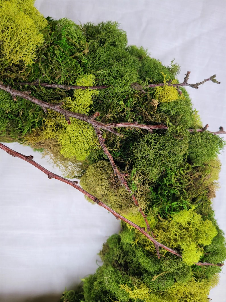 May include: A green moss wreath with brown twigs woven throughout. The wreath is made of preserved moss and is perfect for adding a touch of nature to your home decor.