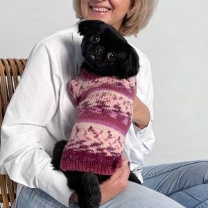 Dachshund, chihuahua, yorkie, pikinese, bichon, spitz sweater,  XXS XS M dog clothes, Warm wool puppy pullover, Small dog clothes , Pet gift