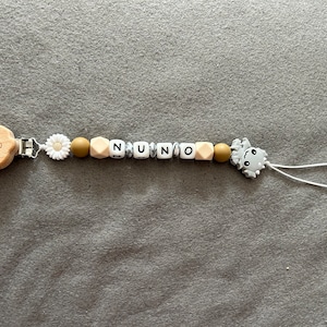 Customizable pacifier/pacifier clip