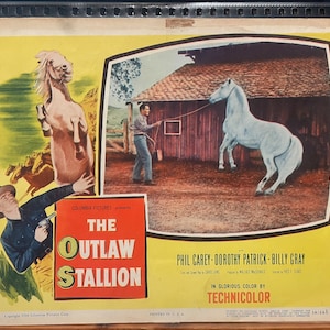 The Outlaw Stallion (1954) Western Movie Lobby Card w/ Phil Carey, Columbia Pictures Corp.