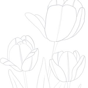 Druckbare Zeichnungsvorlage für Art-Tulpen