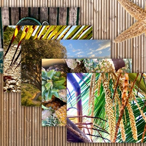 Confezione da 5 biglietti d'auguri tropicali perfetti per un compleanno, una guarigione, un anniversario, semplicemente o qualsiasi altra occasione