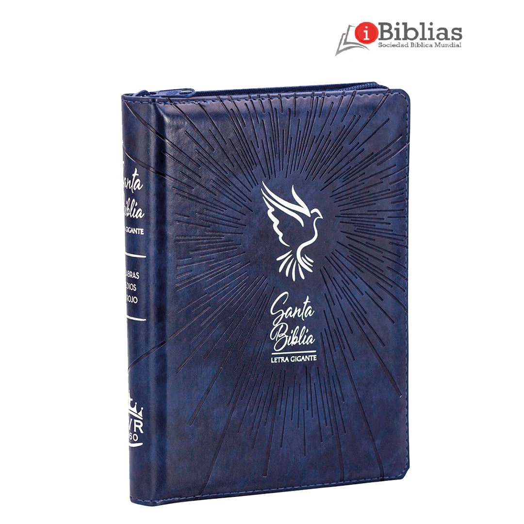 Cuaderno personalizado Miami  God is Good - Biblias, Cuadernos y
