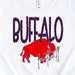 see more listings in the Buffalo  section