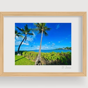May include: A framed photograph of a tropical beach scene with two palm trees in the foreground and a blue sky with white clouds. The ocean is visible in the background. The photograph is signed "D. Jones" in the bottom right corner.