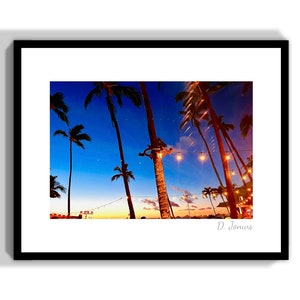 May include: A photograph of palm trees silhouetted against a blue twilight sky with string lights strung between them. The sky is a gradient of blue and purple, with a few stars visible. The image is signed "D. Jonus" in the bottom right corner.
