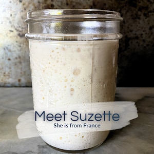 May include: A glass jar filled with a white, bubbly sourdough starter. The text "Meet Suzette" and "She is from France" is written on a white background.