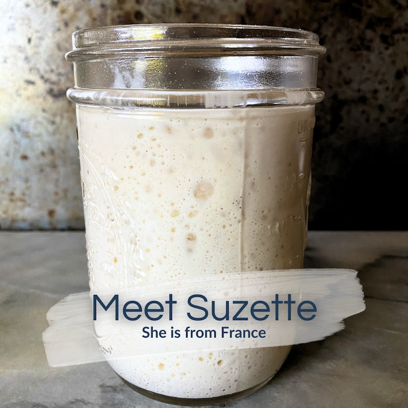 115yr old organic French Sourdough Starter - Liquid & very active! (Ready to use, Ships in 1-2 days, Gift, Bake the next day or 2) image 1