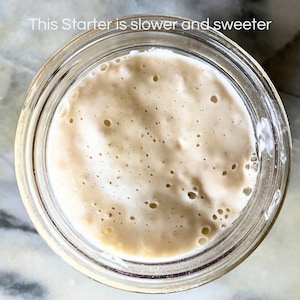 115yr old organic French Sourdough Starter - Liquid & very active! (Ready to use, Ships in 1-2 days, Gift, Bake the next day or 2) image 2
