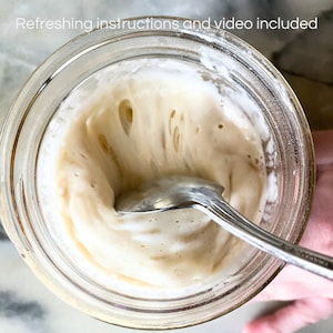 115yr old organic French Sourdough Starter - Liquid & very active! (Ready to use, Ships in 1-2 days, Gift, Bake the next day or 2) image 4