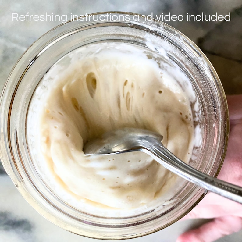 115yr old organic French Sourdough Starter - Liquid & very active! (Ready to use, Ships in 1-2 days, Gift, Bake the next day or 2) image 4
