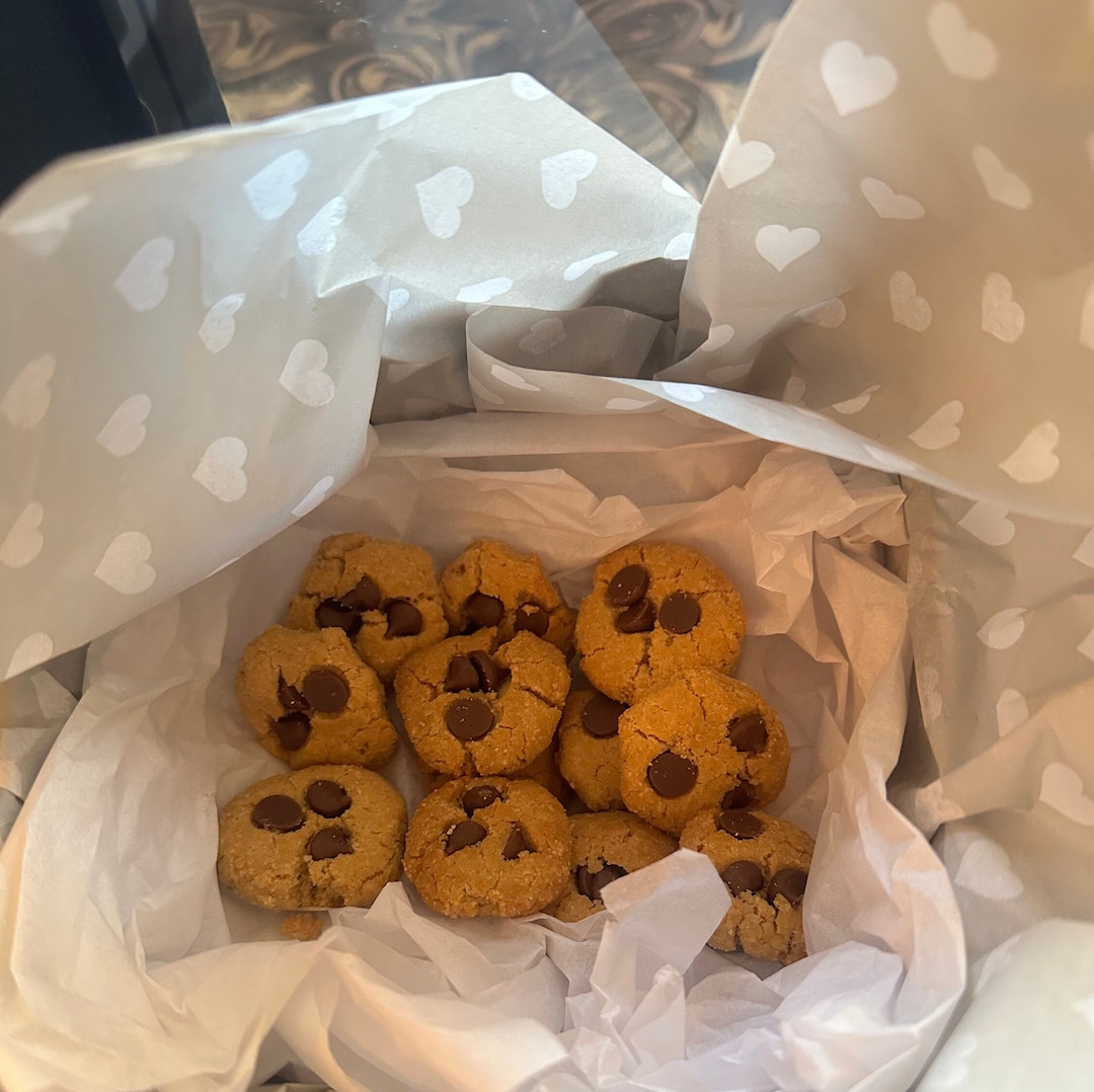 Carob Chip Dog Cookies Etsy