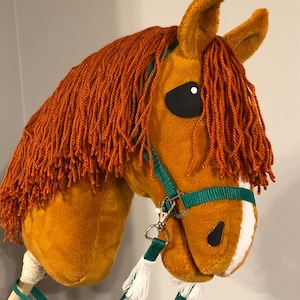 Op de afbeelding: Een bruin pluche paardenhoofd met een groen hoofdstel en een oranje manen. Het paardenhoofd is bevestigd aan een houten stok met een groene riem.