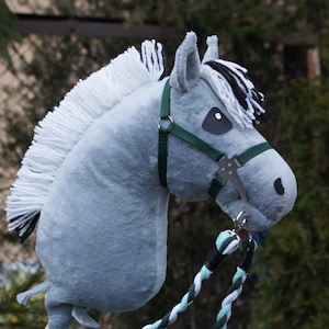 ¡FelizHobbyHorse! Fiordo de caballos aficionados