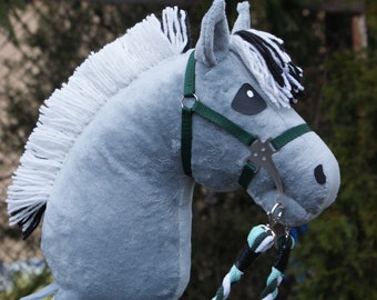 JoyeuxHobbyHorse ! fjord de cheval de loisir