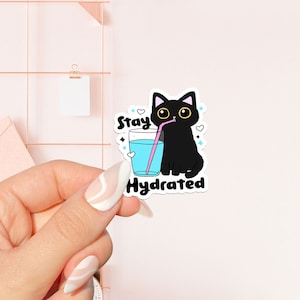 Adesivo Stay Hydrated, adesivo libresco, regalo per gli amanti dei libri, Merch libresco, adesivo Kindle, Smut Reader, amante della lettura, e-reader