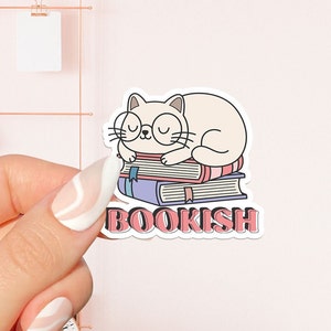 Bookish Sticker, book lover gift, bookish Merch, Kindle Sticker, Smut Reader, reading lover, e-reader