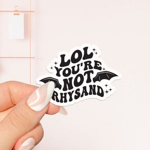 Adesivo "Lol, non sei R", adesivo libresco, regalo per amanti dei libri, merchandising libresco, adesivo Kindle, lettore di e-book, amante della lettura, e-reader