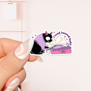 Leo pegatina de libros prohibidos, pegatina libresca, regalo para amantes de los libros, merchandising librero, pegatina Kindle, Smut Reader, amante de la lectura, lector electrónico
