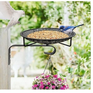 Stainless Steel Wall Mounted Bird Feeder Tray | 11.8" Large Platform for Wild Birds Fence and Tree Mount | Table Mountable with Hanging Hook