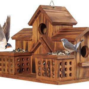 Outdoor 3-Hole Bird House with Bird Feeder | Perfect for Bluebird Finches and Cardinals | humming bird feeder | Birdhouse for Garden Delight