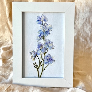 Op de afbeelding: Een ingelijst kunstwerk van geperste bloemen. De witte lijst omringt een takje blauwe en witte ridderspoorbloemen. De delicate bloemblaadjes zijn zichtbaar tegen een witte achtergrond. Het kunstwerk heeft een botanisch thema.