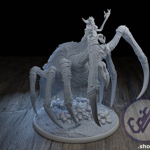 Regina Ragno / Miniatura DnD / Campagna Night Blade / Statua statuetta mini figura / Resina stampata in 3D / Da 32 mm a 75 mm