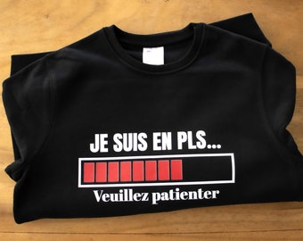 Sweat personnalisé PLS/ sweat humoristique