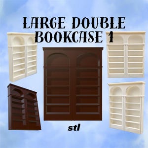 Large Double Diorama Bookcase 1 STL