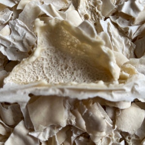 Puede incluir: Primer plano de un montón de fragmentos de coral blanco, secos y quebradizos. El coral es de color beige claro y tiene una textura porosa.