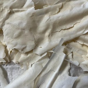 以下が含まれることがあります： 白い、乾燥した、ひび割れた紙のような破片の山。破片は白い表面に散らばっている。